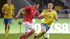 Landen uit Scandinavië willen EK 2024 voetbal organiseren